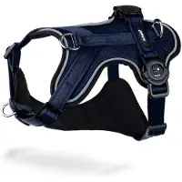 My Family Memopet H Hundesele