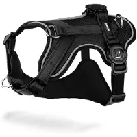 My Family Memopet H Hundesele