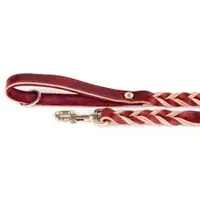 My Family Ascot Hundebånd