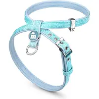 My Family Saint Tropez Kattsele