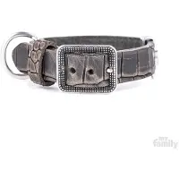 My Family Tucson Hundehalsbånd