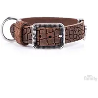 My Family Tucson Hundehalsbånd