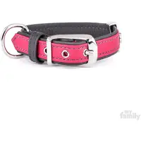 My Family Firenze Hundehalsbånd