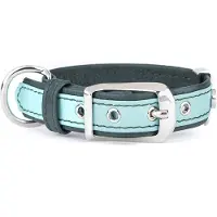 My Family Firenze Hundehalsbånd