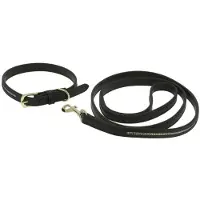 Equithème Max Hundebånd