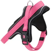 My Family Memopet Kattsele