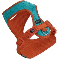 Nayeco 3d Skulls Hundesele