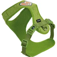 Nayeco 3d Heart Of Bone Hundesele