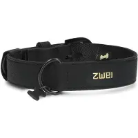 Zwei Leo Le15 Hundebånd