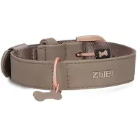 Zwei Leo Le15 Hundebånd