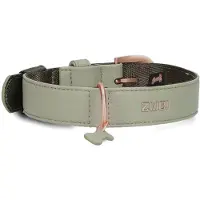 Zwei Leo Le15 Hundebånd