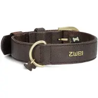 Zwei Leo Le15 Hundebånd