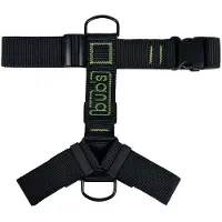 Bub´s Not Pull Hundesele