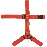 Bub´s Not Pull Hundesele 25mm