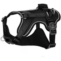 My Family Memopet H Hundesele