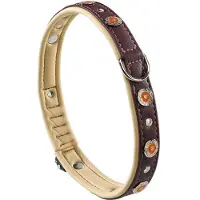 Ferplast Circus 25 Mm 51-49 Cm Hundehalsbånd