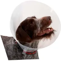 Buster K273393 Elizabethan Hundehalsbånd 10 Enheter