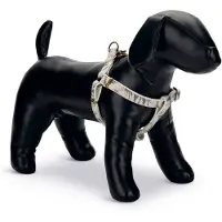 Designed By Lotte Oribo Hundesele