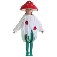 Creaciones Llopis Soppjentekostyme