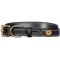 Dyon Flat Leather Hundehalsbånd