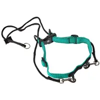 Kruuse Elizabethan Hundehalsbånd