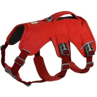 Ruffwear Web Master Hundesele