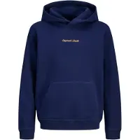 Jack & Jones Norrebro Hettegenser Relaxed Fit Blågrønn (164 /14 år)