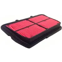 Champion Parts Caf5501 Luftfilter