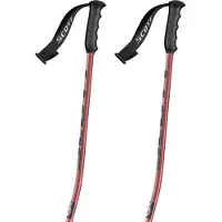 SCOTT Team Issue Gs Spaserstokker