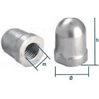 Tecnoseal Renault Couach Akselmutter
