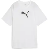 Puma Evostripe Graphic Relaxed Fit Kortarmet T-skjorte