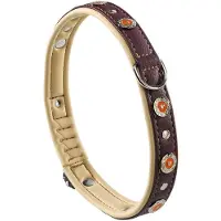 Ferplast Circus 20 Mm 34 Cm Hundehalsbånd