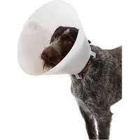 Kruuse K273350 Elizabethan Hundehalsbånd 10 Enheter