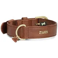 Zwei Leo Le15 Hundebånd