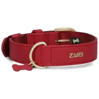 Zwei Leo Le15 Hundebånd