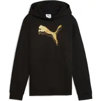 Puma Essentials Metallic Hoodie Youth, Shop, Black/Metallic Gold, 11-12Y
