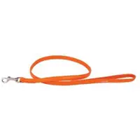 Collar Pet Leather Hundebånd