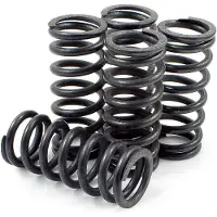 Dp Brakes Hds143-5 Honda Crf Clutchfjærsett 5 Enheter