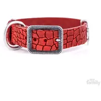 My Family Tucson Hundehalsbånd