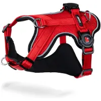 My Family Memopet H Hundesele