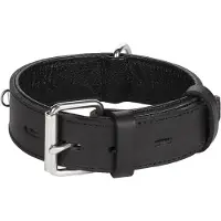 Flamingo Rondo Riveted Hundehalsbånd