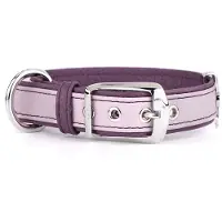 My Family Firenze Hundehalsbånd