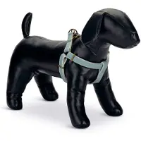 Designed By Lotte Virante Hundesele