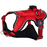 My Family Memopet H Hundesele