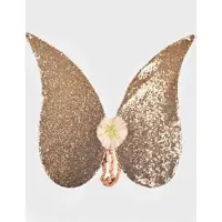 Den Goda Fen Fuglevinger Barnedrakt