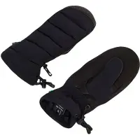 Oakley B1B Winter Votter svart