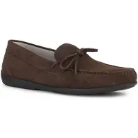 Geox Ascanio A Loafers