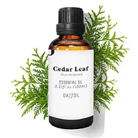 Daffoil Cedar Leaf 100ml Essensiell Olje