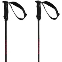 Völkl Rentastick Carbon Spaserstokker