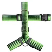 Bub´s Not Pull Hundesele